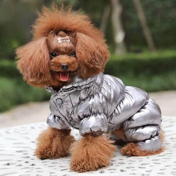 Dog snowsuit / winter coat - Picture 1 of 6